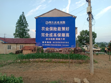  兴仁墙体广告的优劣势你知道吗？